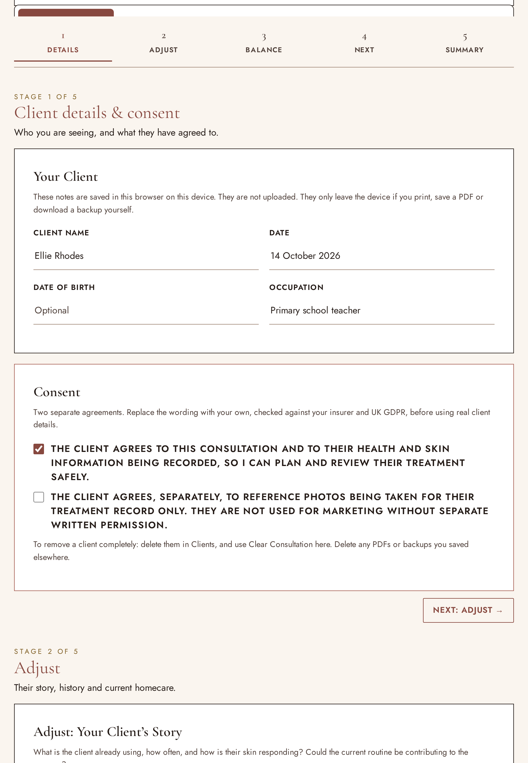 The consultation screen showing example client details and consent