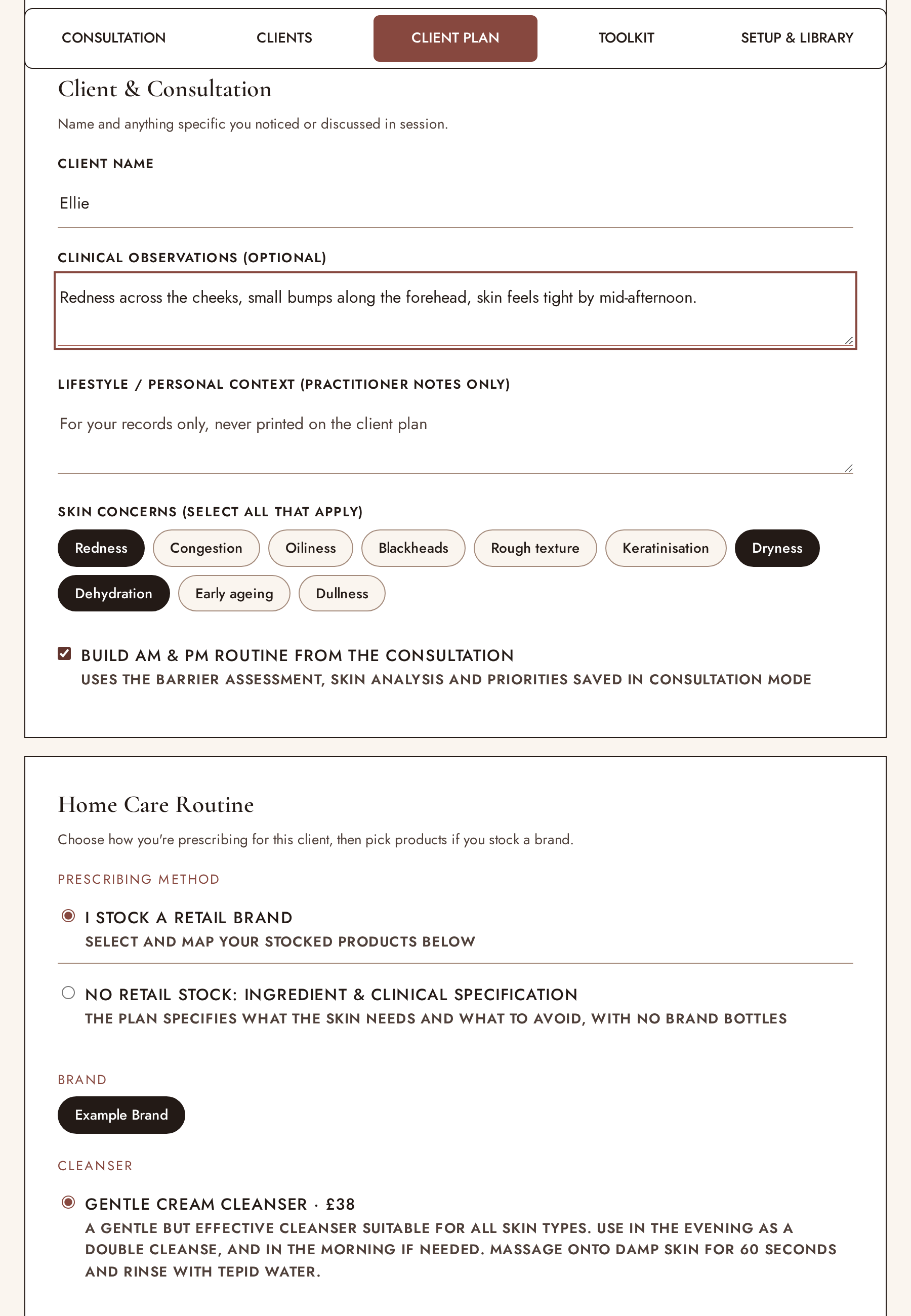The client plan screen showing example observations and selected skin concerns